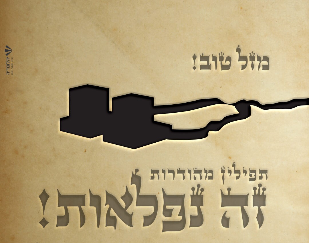 באנר_תלת_מימד (1)